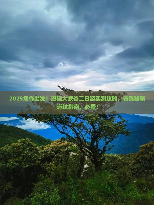 焦作到恩施大峡谷二日游