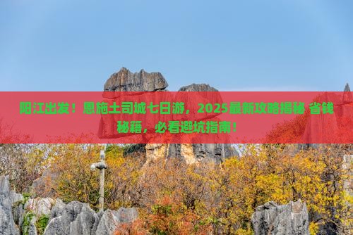 阳江到恩施土司城七日游