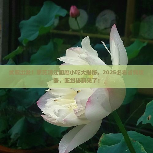 武威去恩施清江画廊旅游小吃