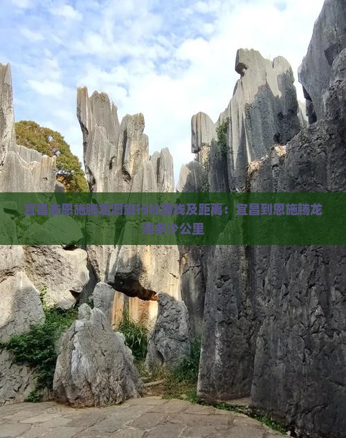 宜昌去恩施腾龙洞旅行社