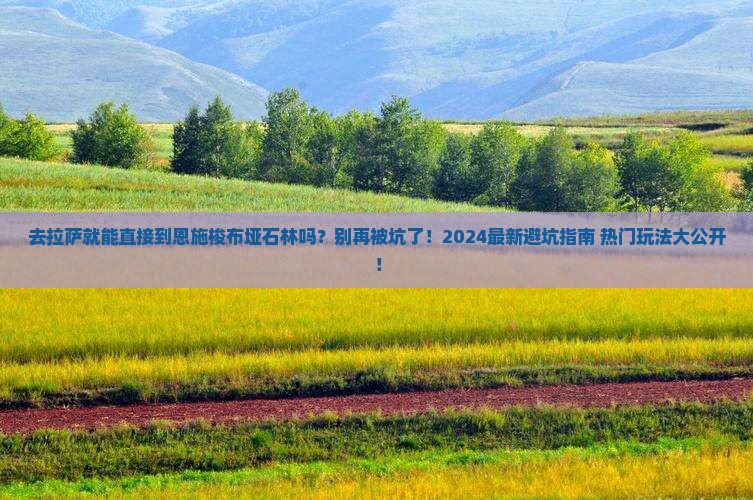 拉萨去恩施梭布垭石林旅行社