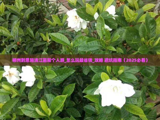 郴州到恩施清江画廊个人游