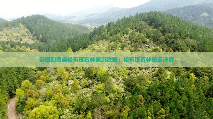 安康到恩施梭布垭石林景点