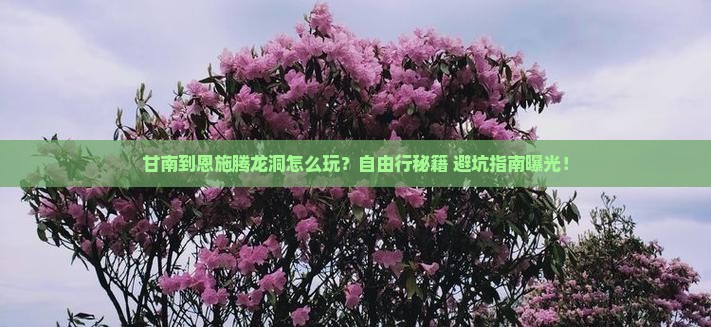 甘南去恩施腾龙洞自由行
