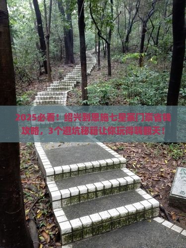 绍兴到恩施七星寨门票