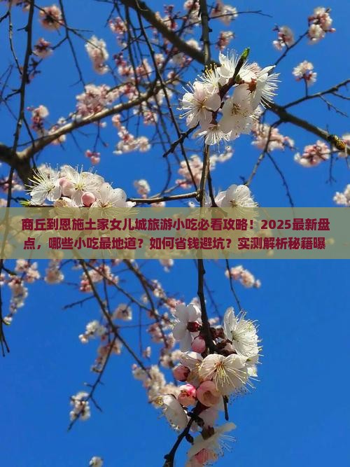 商丘到恩施土家女儿城旅游小吃