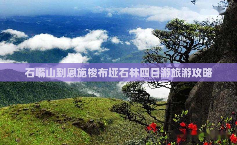 石嘴山去恩施梭布垭石林四日游 石嘴山去恩施梭布垭石林四日游