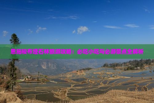 博尔塔拉去恩施梭布垭石林旅游小吃