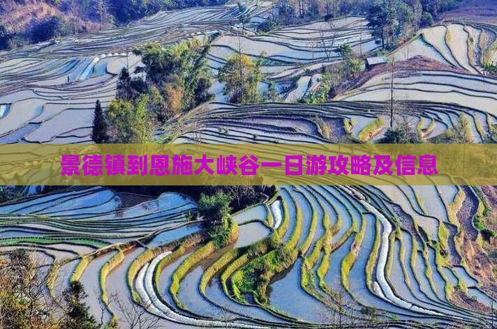 景德镇到恩施大峡谷一日