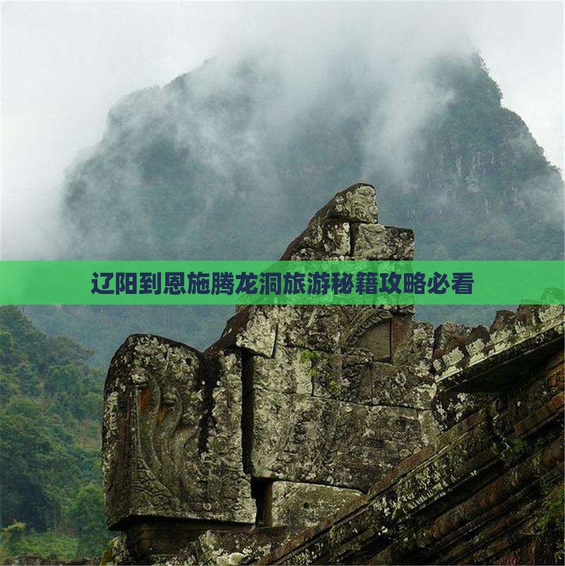 辽阳到恩施腾龙洞旅行社