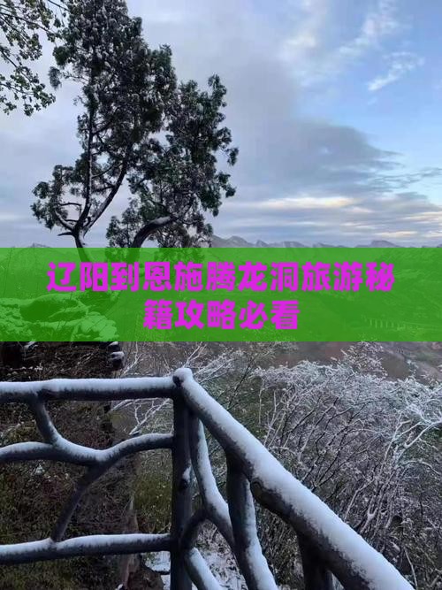 辽阳到恩施腾龙洞旅行社