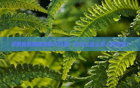 济南去恩施腾龙洞六日游
