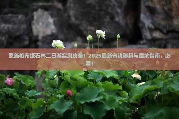 大庆去恩施梭布垭石林二日游