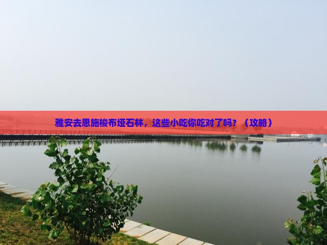 雅安去恩施梭布垭石林旅游小吃