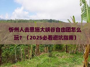 忻州去恩施大峡谷自由团