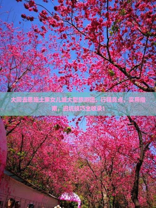 大同去恩施土家女儿城大型旅游团