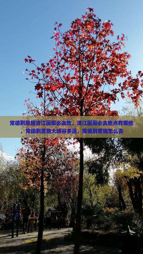 常德到恩施清江画廊必去地