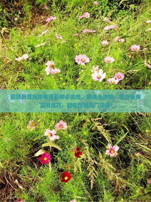 固原到恩施梭布垭石林必去地