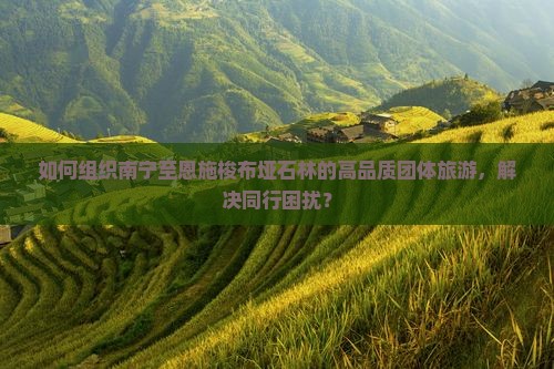 如何组织南宁至恩施梭布垭石林的高品质团体旅游，解决同行困扰？