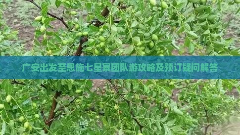 广安出发至恩施七星寨团队游攻略及预订疑问解答