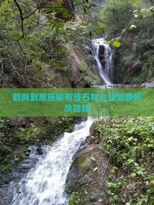 鹤岗到恩施梭布垭石林七日游费用及路线