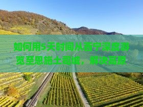 如何用5天时间从西宁深度游览至恩施土司城，解决高原反应与旅行痛点的创新方案？