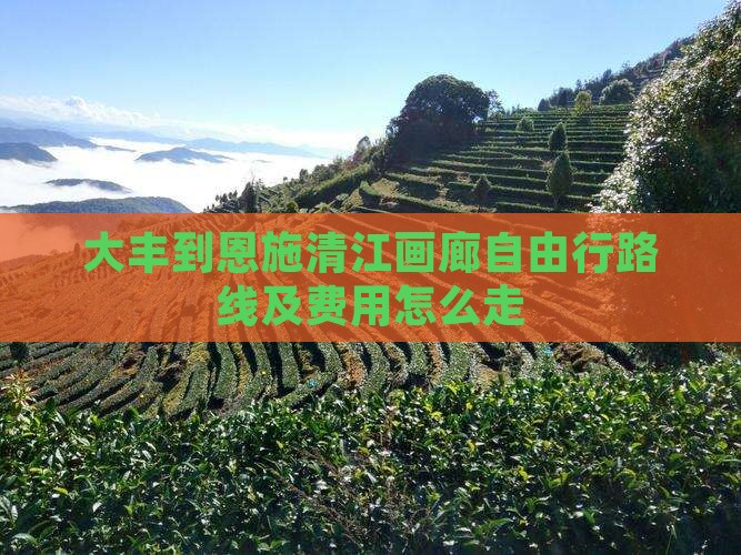 大丰到恩施清江画廊自由行路线及费用怎么走