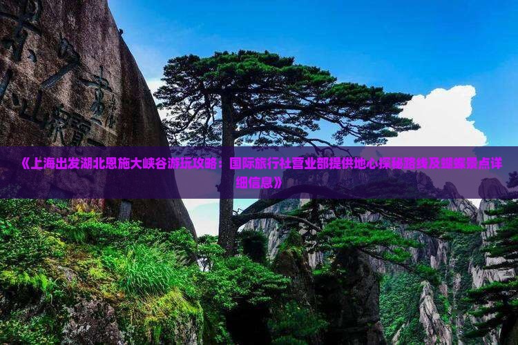 《上海出发湖北恩施大峡谷游玩攻略:国际旅行社营业部提供地心探秘路线及蝴蝶景点详细信息》 《上海出发湖北恩施大峡谷游玩攻略:国际旅行社营业部提供地心探秘路线及蝴蝶景点详细信息》