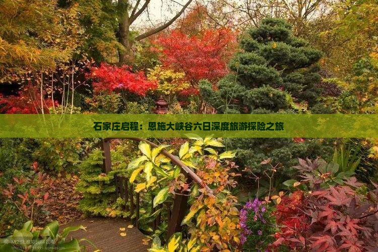 石家庄启程：恩施大峡谷六日深度旅游探险之旅