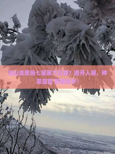 凉山去恩施七星寨六日游?避开人潮,种草露营+野趣徒步! 凉山去恩施七星寨六日游?避开人潮,种草露营+野趣徒步!