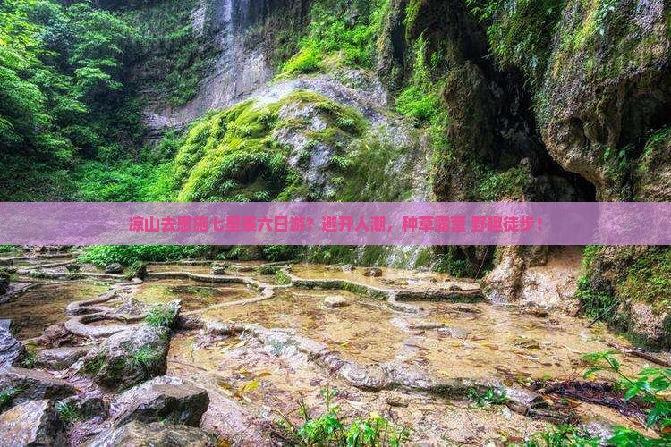 凉山去恩施七星寨六日游?避开人潮,种草露营+野趣徒步! 凉山去恩施七星寨六日游?避开人潮,种草露营+野趣徒步!