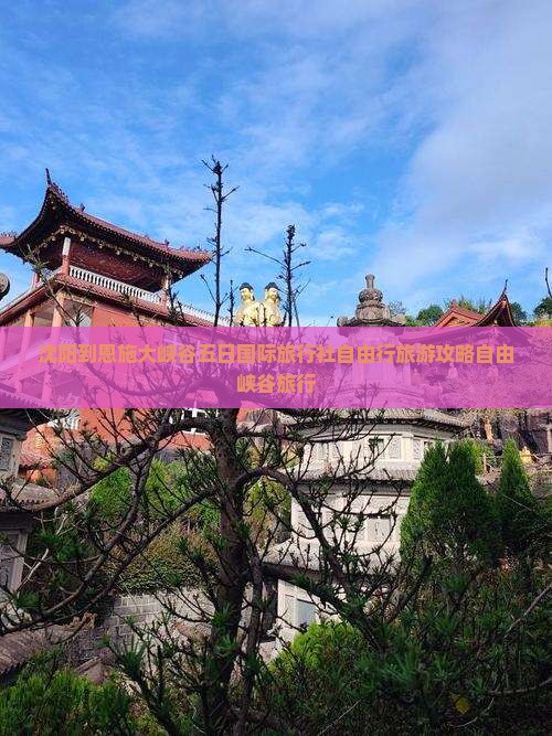沈阳到恩施大峡谷五日国际旅行社自由行旅游攻略自由峡谷旅行