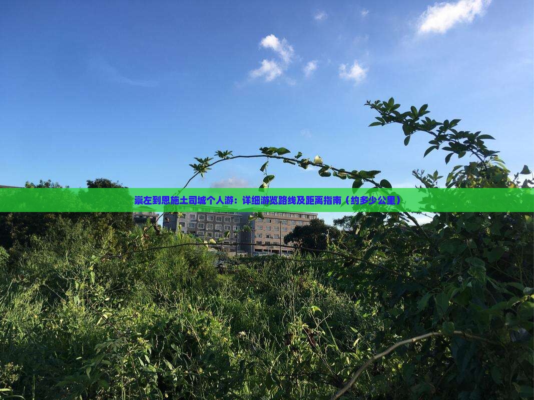 崇左到恩施土司城个人游：详细游览路线及距离指南（约多少公里）