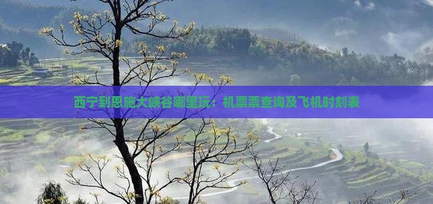 西宁到恩施大峡谷哪里玩：机票票查询及飞机时刻表
