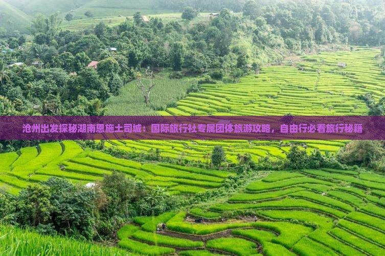 沧州出发探秘湖南恩施土司城：国际旅行社专属团体旅游攻略，自由行必看旅行秘籍