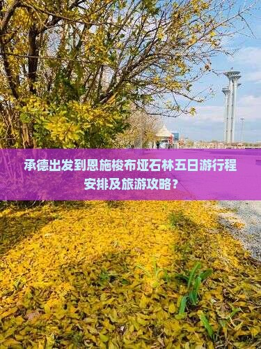 承德出发到恩施梭布垭石林五日游行程安排及旅游攻略？