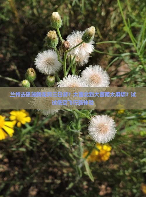 兰州去恩施腾龙洞三日游？大西北到大西南太麻烦？试试低空飞行新体验