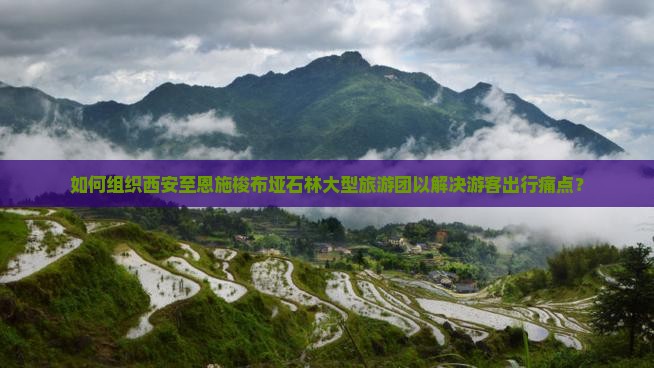 如何组织西安至恩施梭布垭石林大型旅游团以解决游客出行痛点？