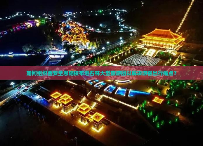 如何组织西安至恩施梭布垭石林大型旅游团以解决游客出行痛点？
