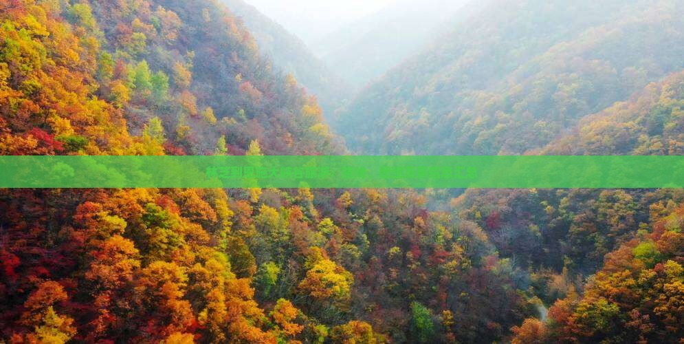 林芝到恩施大峡谷旅游：路线、团组及票信息汇总