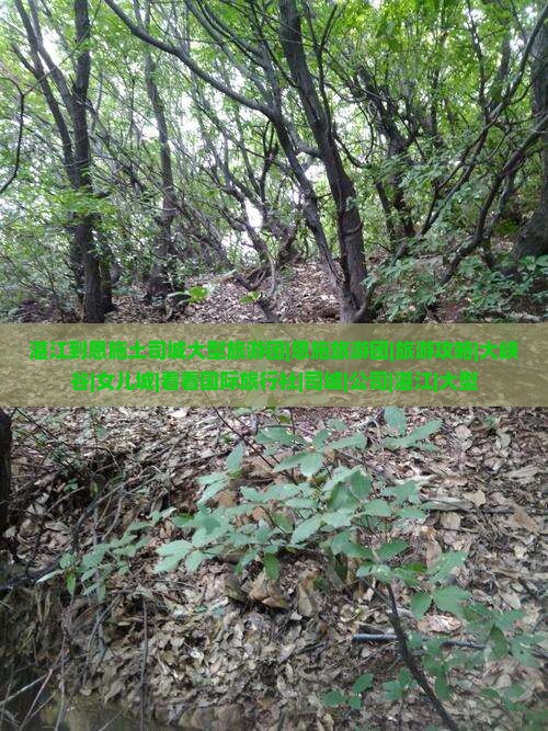 湛江到恩施土司城大型旅游团|恩施旅游团|旅游攻略|大峡谷|女儿城|看看国际旅行社|司城|公司|湛江|大型