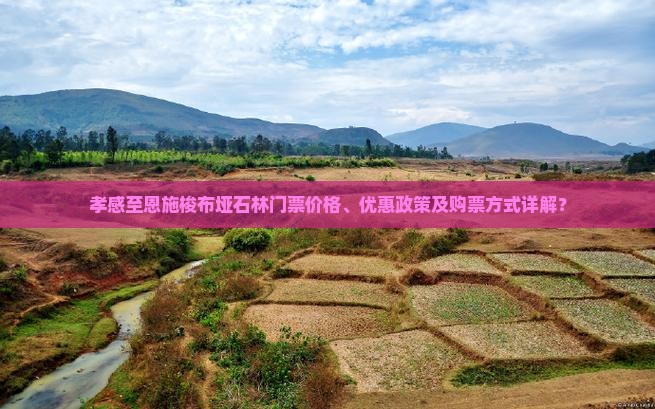 孝感至恩施梭布垭石林门票价格、优惠政策及购票方式详解？