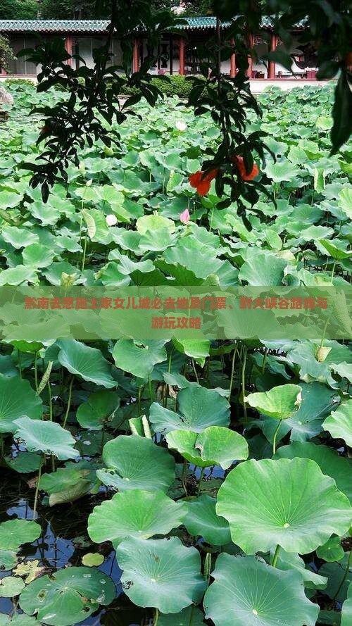 黔南去恩施土家女儿城必去地及门票、到大峡谷路线与游玩攻略