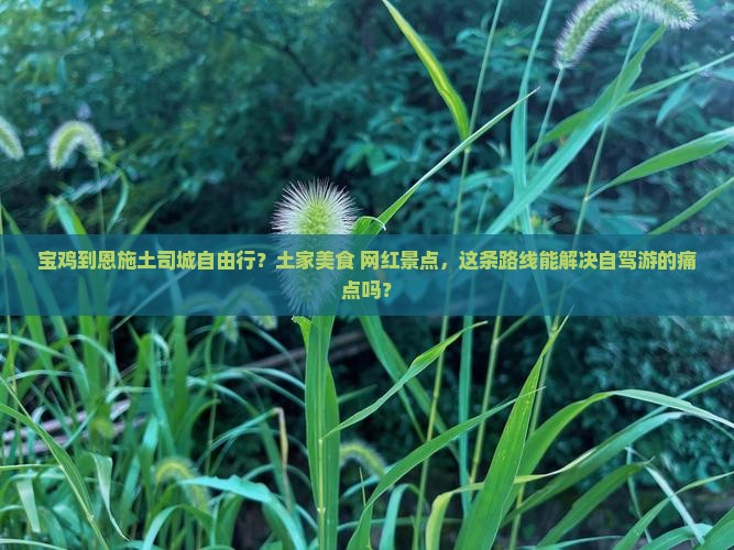 宝鸡到恩施土司城自由行？土家美食+网红景点，这条路线能解决自驾游的痛点吗？