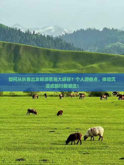 如何从长春出发畅游恩施大峡谷？个人游痛点，体验沉浸式旅行新潮流！