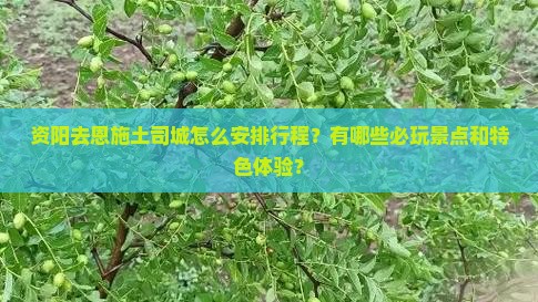 资阳去恩施土司城怎么安排行程？有哪些必玩景点和特色体验？