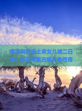本溪到恩施土家女儿城二日游：探寻风情古城与自然奇观之旅