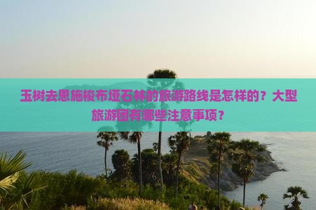 玉树去恩施梭布垭石林的旅游路线是怎样的？大型旅游团有哪些注意事项？