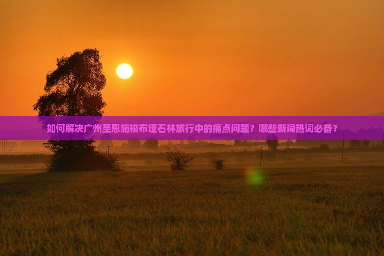 如何解决广州至恩施梭布垭石林旅行中的痛点问题？哪些新词热词必备？