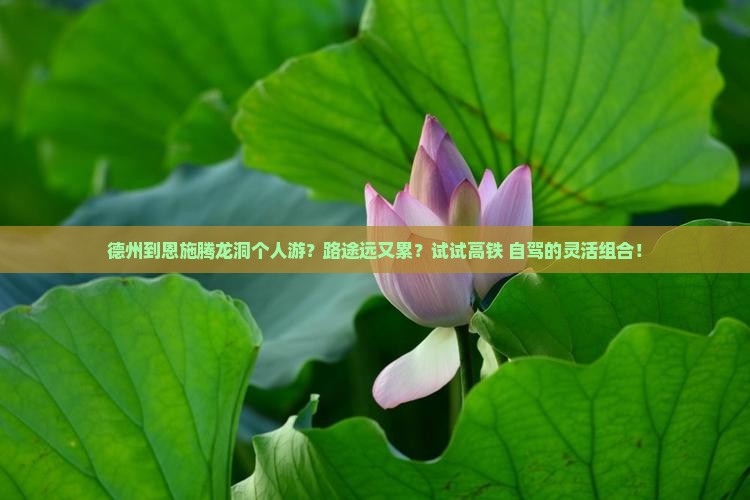 德州到恩施腾龙洞个人游？路途远又累？试试高铁+自驾的灵活组合！